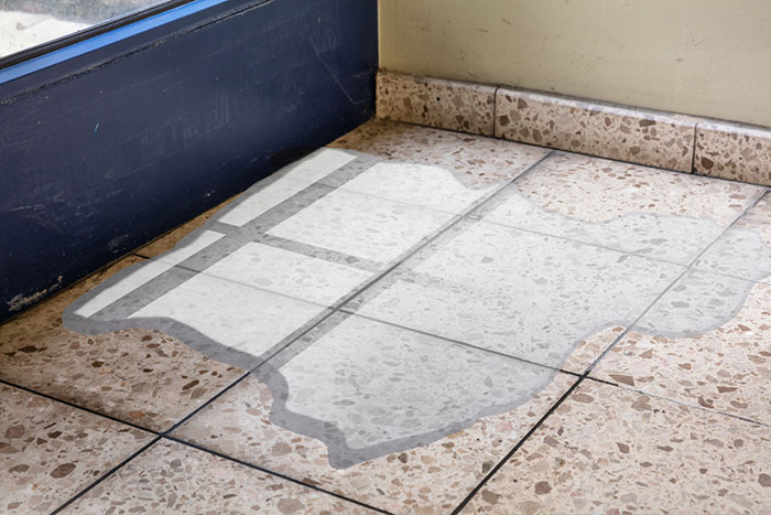 Shower Leaks